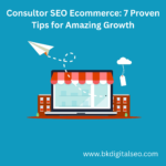Consultor SEO ecommerce providing optimization services