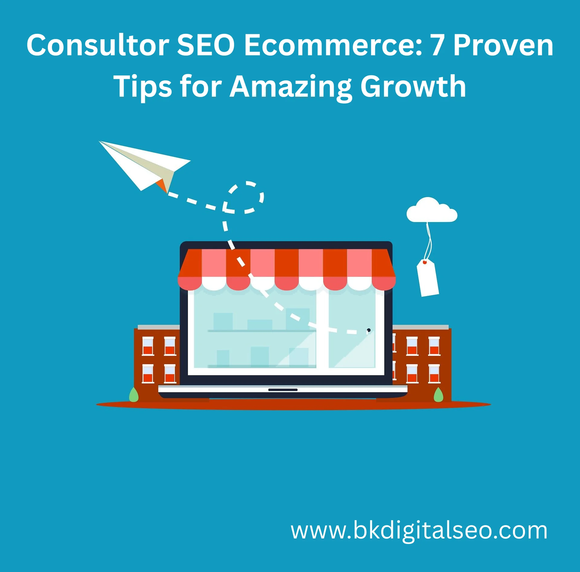 Consultor SEO ecommerce providing optimization services